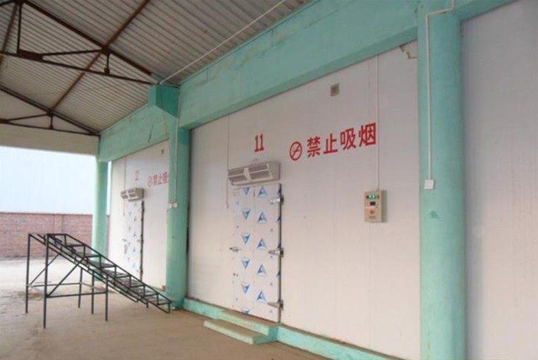 建造水果保鮮庫多少錢?