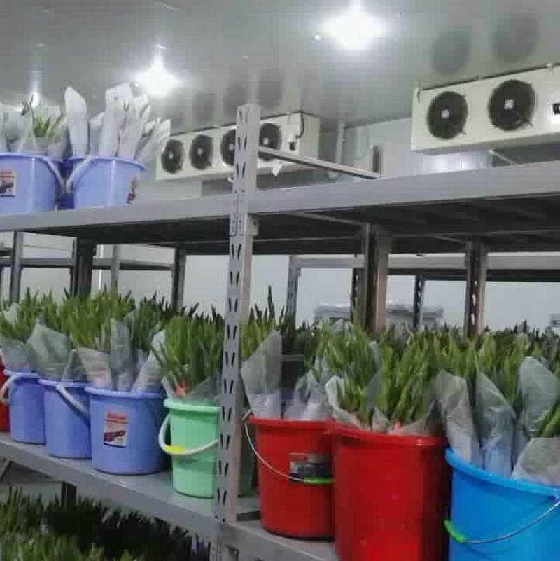 儲存鮮花冷庫原理