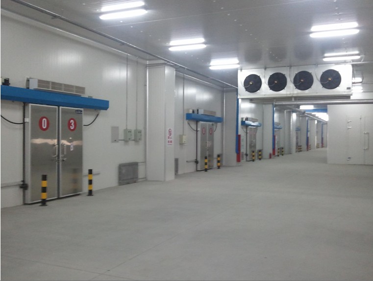 蔬菜保鮮庫可以保鮮多久呢？