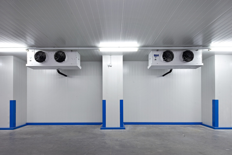 蔬菜水果保鮮冷庫(kù)設(shè)計(jì)注意事項(xiàng)