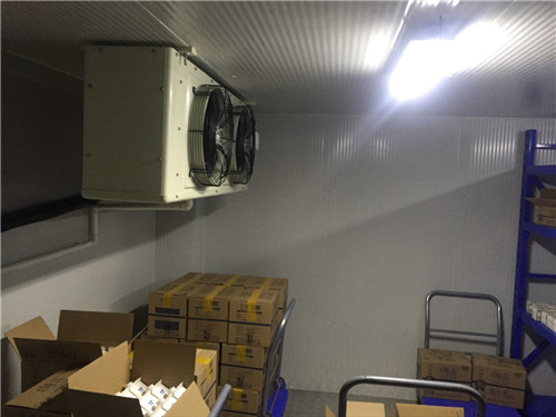 醫(yī)藥冷庫保養(yǎng)內(nèi)容有哪些需要注意的？