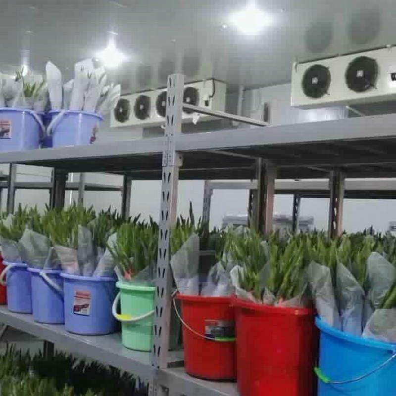 冷庫斷電后能夠很快回溫的原因