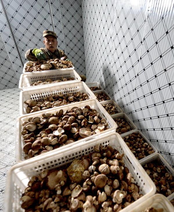 1612607544127444.jpg src=http___inews_gtimg_com_newsapp_bt_0_10858922779_1000_jpg&refer=http___inews_gtimg.jpg