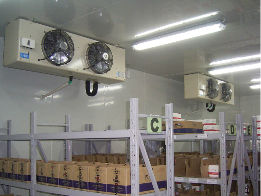 新型水果蔬菜保鮮庫的特點(diǎn)