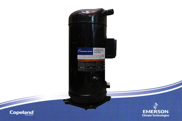 蔬菜冷庫(kù)保鮮技術(shù)分享：蒜苗儲(chǔ)存半年依舊新鮮如初