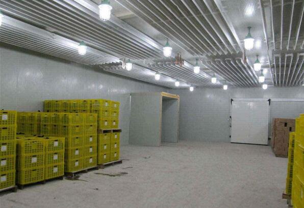 建造果蔬保鮮冷庫能給人們帶來哪些效益