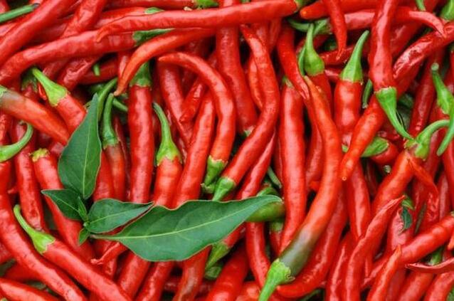 辣椒冷庫長期儲(chǔ)藏保鮮的方法？