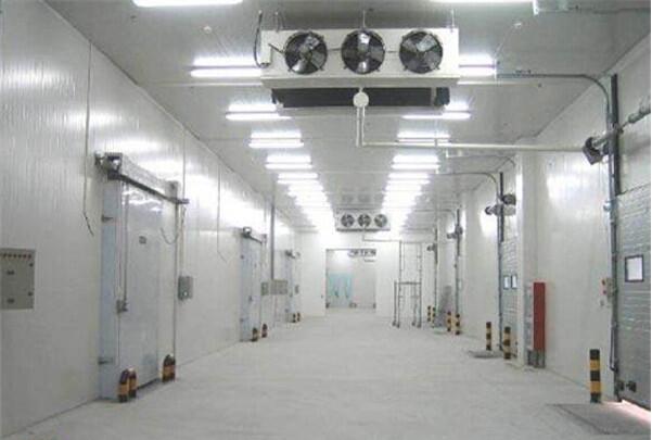 蔬菜保鮮庫(kù)安裝要多少錢？