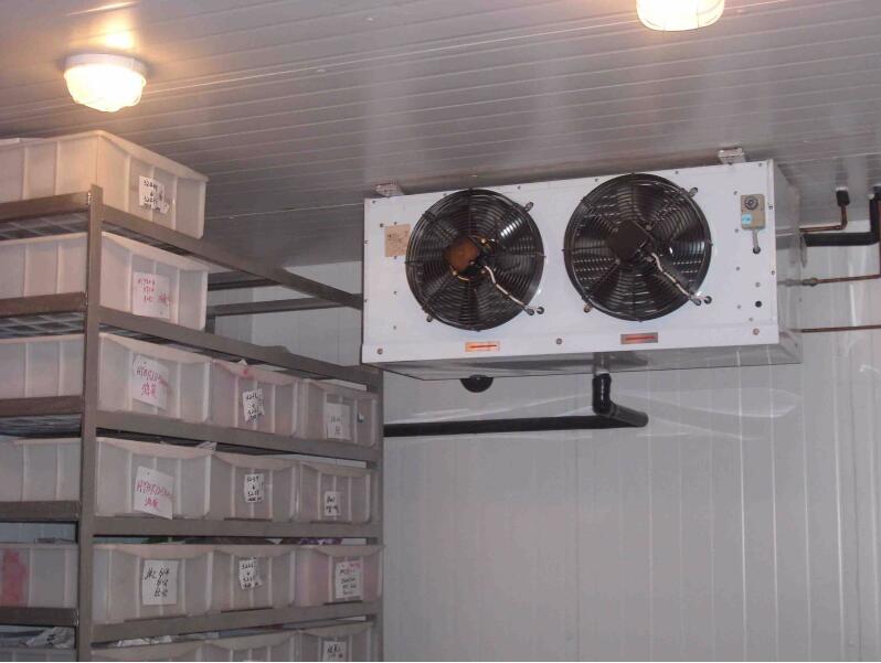 蔬菜保鮮庫：冷庫保鮮有哪些注意事項(xiàng)？冷庫設(shè)備應(yīng)如何維護(hù)？