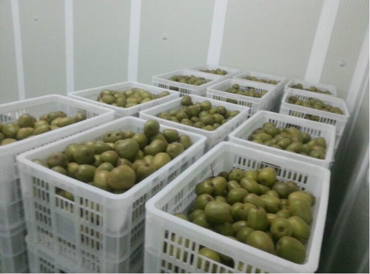 水果保鮮庫冷庫的常用配件講解