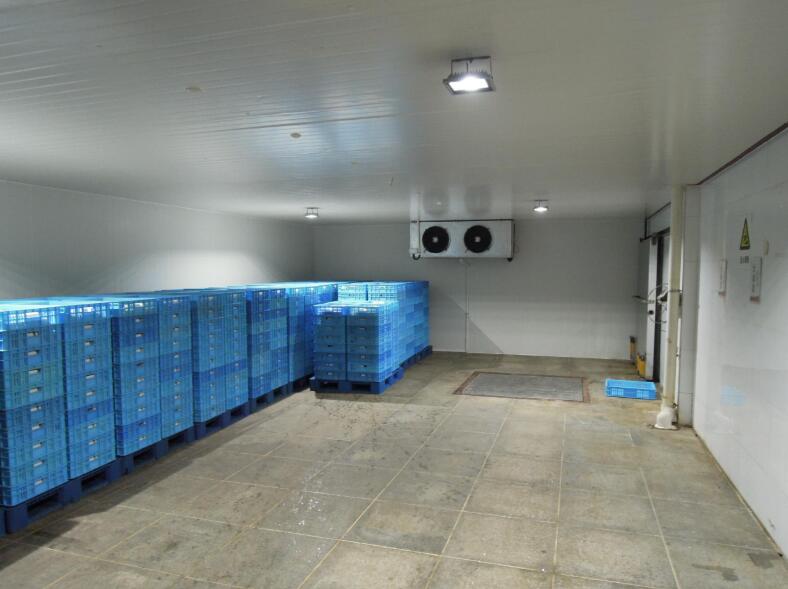 冷庫(kù)制冷系統(tǒng)液擊現(xiàn)象處理辦法