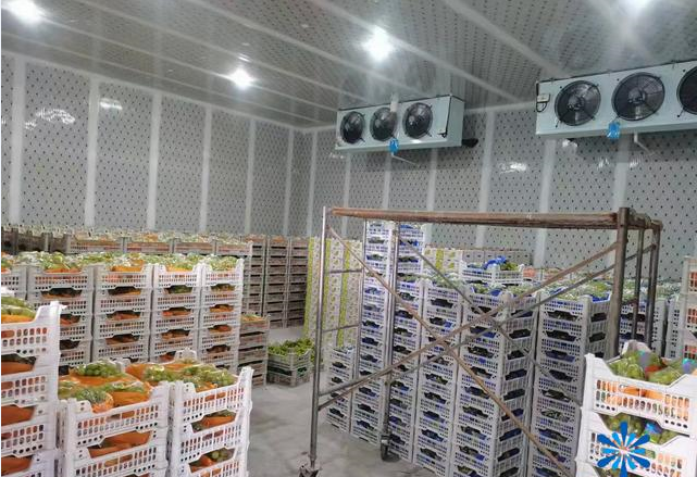 葡萄冷庫保鮮技術