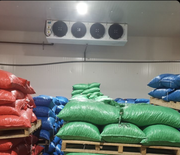 板栗存放在冷藏庫(kù)的知識(shí)簡(jiǎn)介